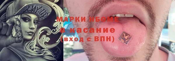 СК Алексин