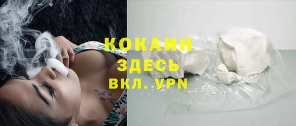 PSILOCYBIN Аркадак