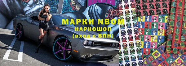 PSILOCYBIN Аркадак