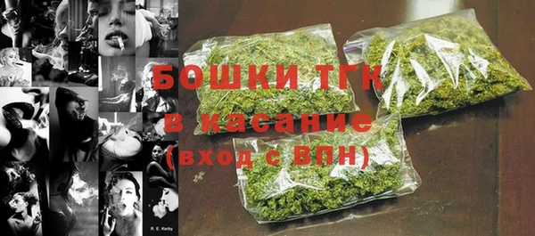 СК Алексин